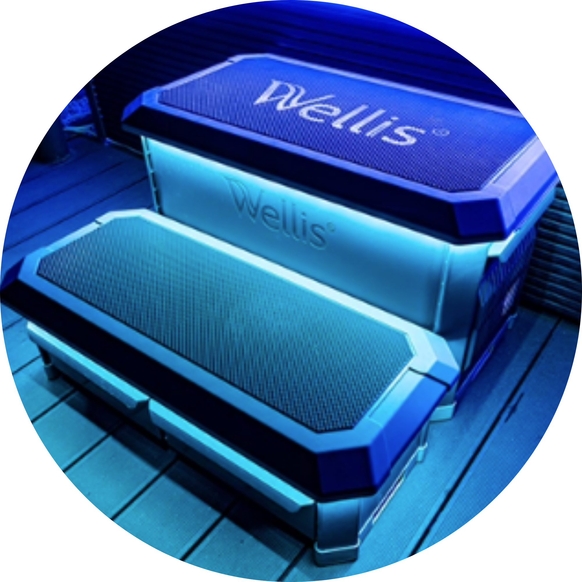 Wellis: Accessories